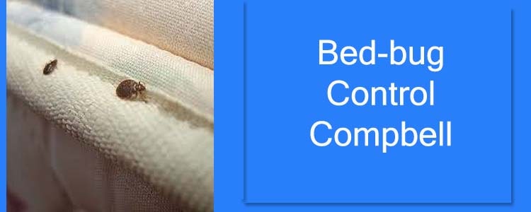 Bed Bug Control Campbell